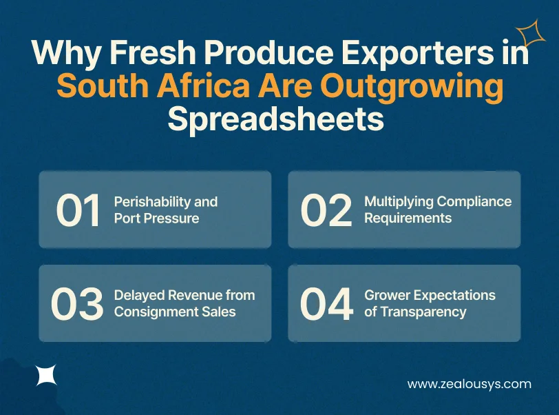 Why Fresh Produce Exporters in South Africa Are Outgrowing Spreadsheets